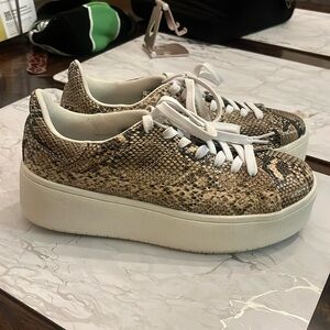 Platform snakeskin gym shoes . Size 71/2